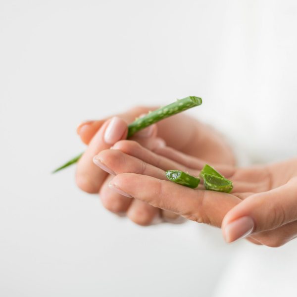 hand-aloe